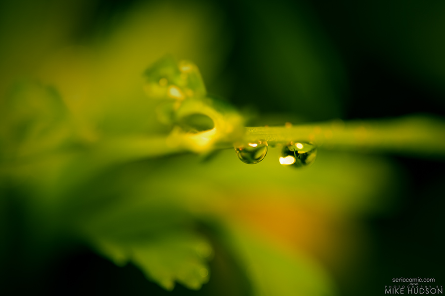 Green Droplets #2